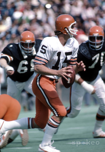 mike phipps vs bengals